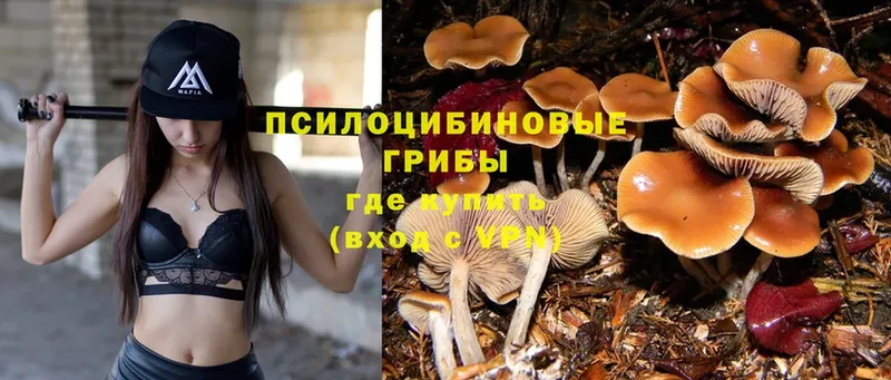 Галлюциногенные грибы Magic Shrooms  Ульяновск 